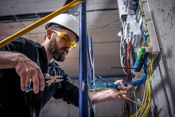 Best Electric Panel Repair  in Lake In The Hls, IL
